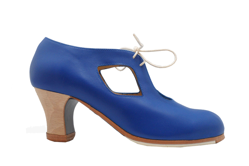 Cuatro vientos. Custom Begoña Cervera Flamenco Shoes